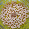 China Best Quality Delicious Fresh Frozen Seafood Crystal Red Shrimp Supplier